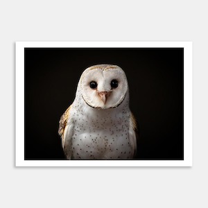 Barn Owl Art Print By Mike Wilson