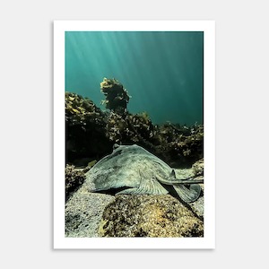 Rays Art Print By Ryan Hansen