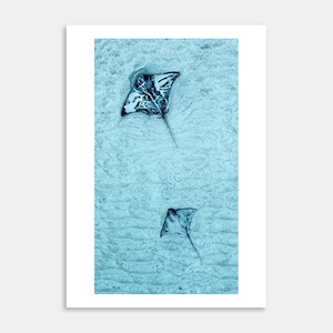 Rays 2-3 Art Print By Ryan Hansen