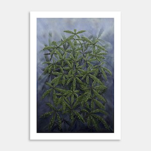 Dew Drenched Art Print By Sue Lockett