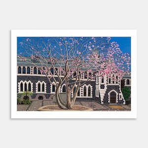 Magnolia University of Otago Art Print By Liz Abbott