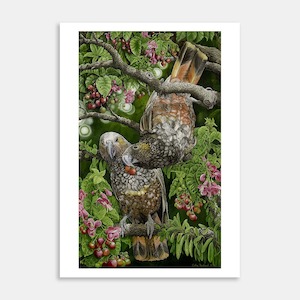 Kakas With Berries Art Print By Cathy Radford