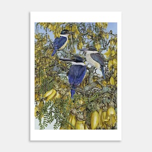 Kotare Whanau In Kowhai Art Print By Cathy Radford