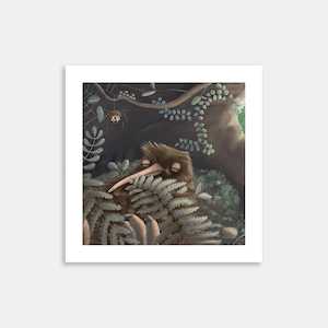 SLKS Sleepy Kiwi Art Print By Deborah Hinde