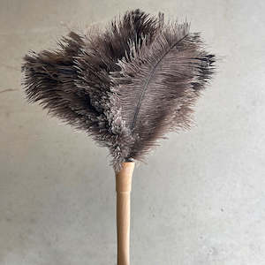 Feather Duster