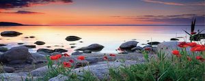 Sunset and Poppies