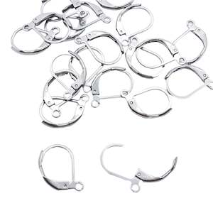 20pc Stainless Steel Leverback Earring Hooks