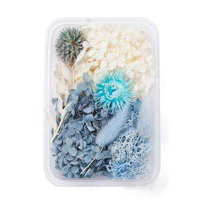 Womenswear: Mixed White and Blue Dried Flowers