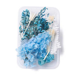 Womenswear: Mixed Blue and White Dried Flowers