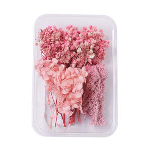 Womenswear: Mixed Pink Dried Flowers