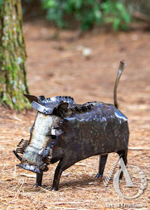 Bush Pig (Warthog) - Med