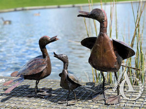 Duck - Set of 3