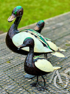 Creative art: Duck Mallard - Large