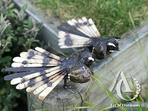 Creative art: Fantail - Freestanding