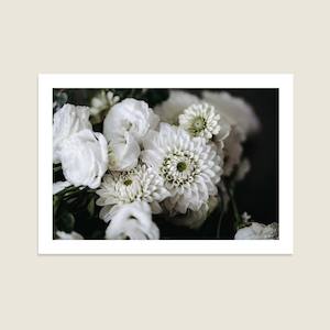 Creative art: White Florals