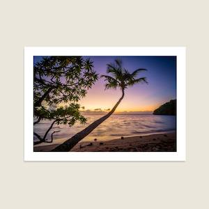 Creative art: Tropical Dawn