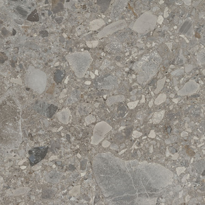 Breccia Taupe 600×600 60TR08R