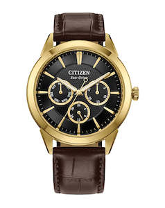 Citizen Gents Eco-Drive Rolan Watch