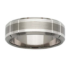 Titanium Silver Ring