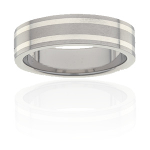 Titanium Sterling Silver Ring