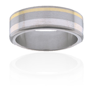 Titanium Silver and 9ct Yellow Gold Ring