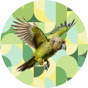 Wallpaper manufacturing: CIRQUE ACT ONE Pattern No FLYING KEA - (63023)