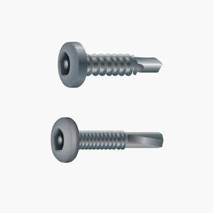 Pentaforce Self Drilling Security Screw