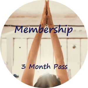 3 Month Pass