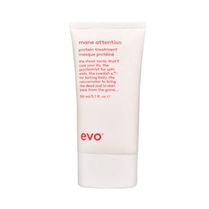 Evo Mane Attention Protein Treatment