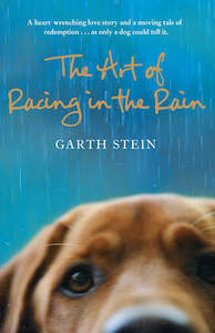 Books: THE ART OF RACING IN THE RAIN