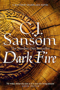 DARK FIRE (SHARDLAKE #2)