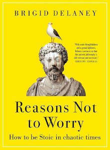 REASONS NOT TO WORRY: HOW TO BE STOIC IN CHAOTIC TIMES