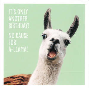 Books: BIRTHDAY CARD NO CAUSE FOR A-LLAMA