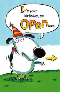 Books: BIRTHDAY CARD FUNNY DOG