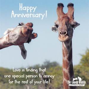 Anniversary Card One Special Person Giraffes