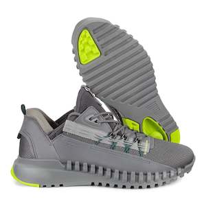 Footwear: ZIPFLEX-ECCO