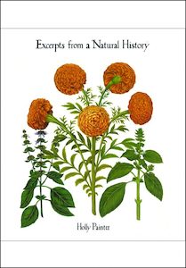 Excerpts from a Natural History by Holly Painter