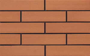 Brick manufacturing - clay: Brickslips Smooth 16