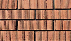 Brickslips Strip Textured 6