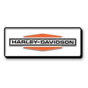 Harley Davidson ® Stacked Logo Pin.