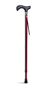 Lifestyle T handle Walking Stick