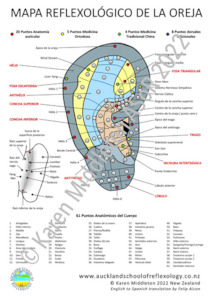 Spanish Ear Reflexology Chart ASoR