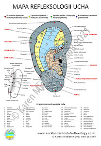 Polish Ear Reflexology Chart ASoR