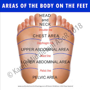 Areas of the Body on the Feet ASoR