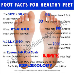 Foot Facts for Healthy Feet ASoR