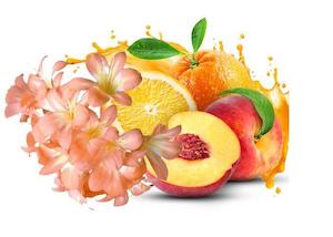 Merchandising: Orange & Peach Blossom Fragrance Oil