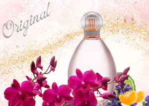 Merchandising: Lovely Type Fragrance Oil