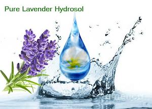 Lavender Hydrosol