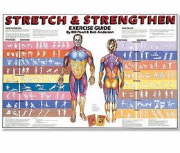 Merchandising: Stretch & Strengthen Chart