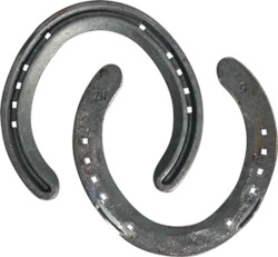 NZ Quarter Clip Hinds